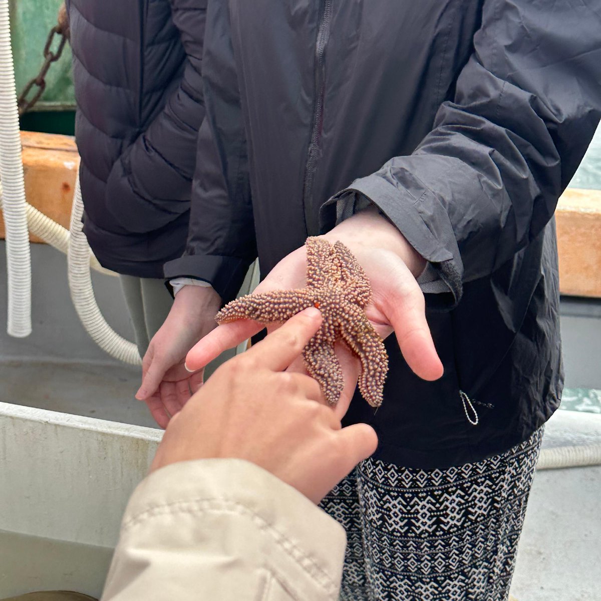 MBLScience's tweet image. Make your spring term unforgettable! 🌊 Join MBL’s Semester in Biological Discovery for an immersive, hands-on dive into parasitology, biodiversity, neurophysiology &amp;amp; more.
📅 Mar 1–May 23, 2026
🗓️ Apply by Dec 12: go.mbl.edu/sbd
No research experience required!