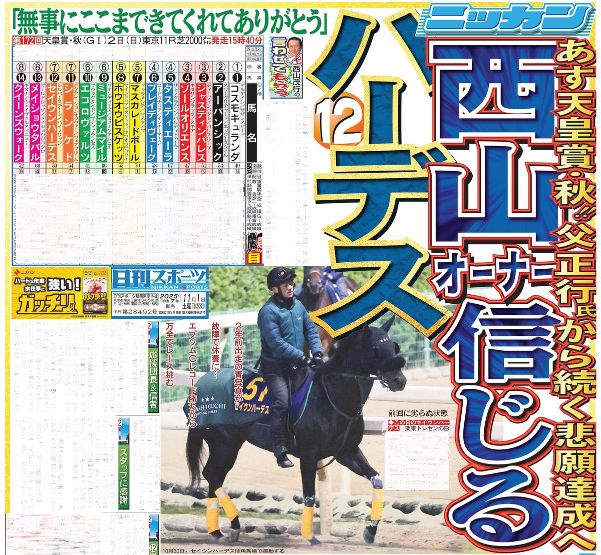 スイカ係 (@suikacchi) / Posts / X