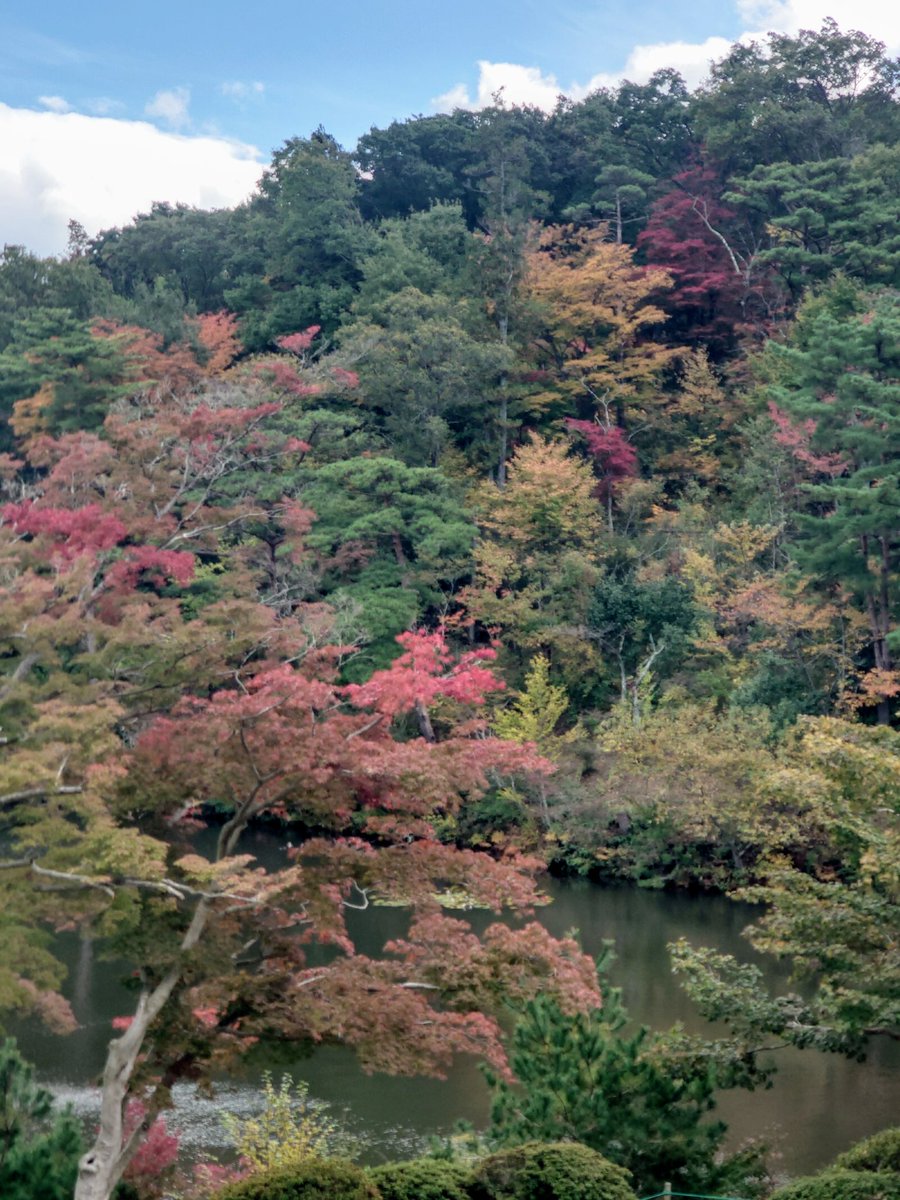 show様 COLORZ SHOW 2023 powered by SHEINの公演詳細 | 公演を探す