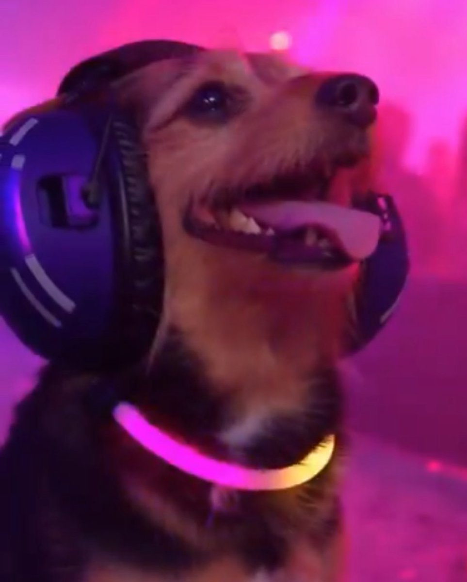 Doc Zigga 🎱 tweet media