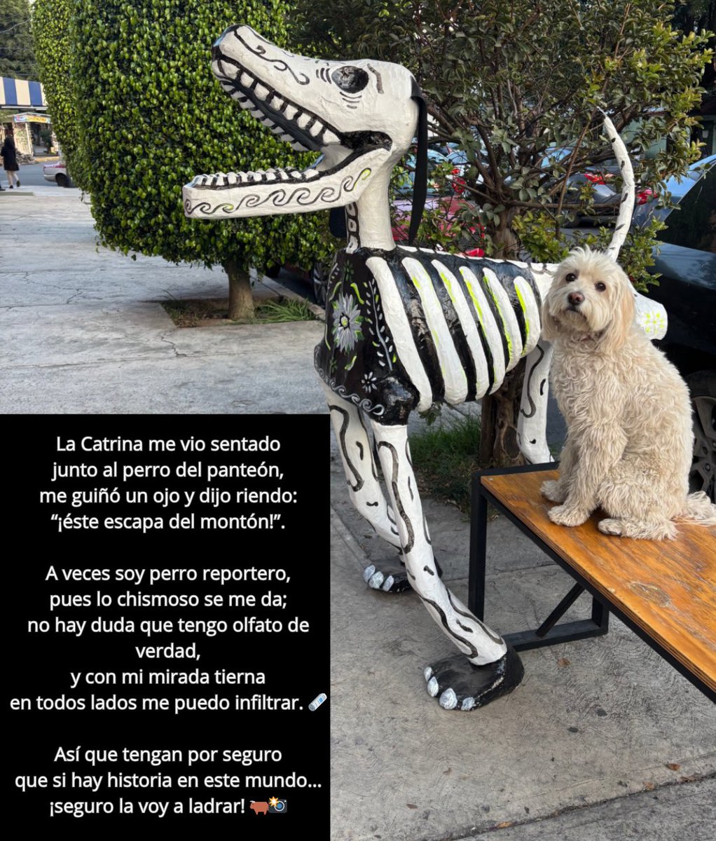 Iris Velázquez (@IrisVelzquez) / Posts and Replies / X, image size:1022x1200