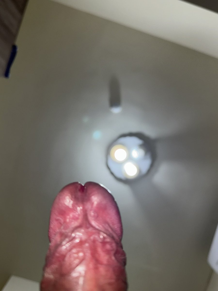 新北社畜 tweet media