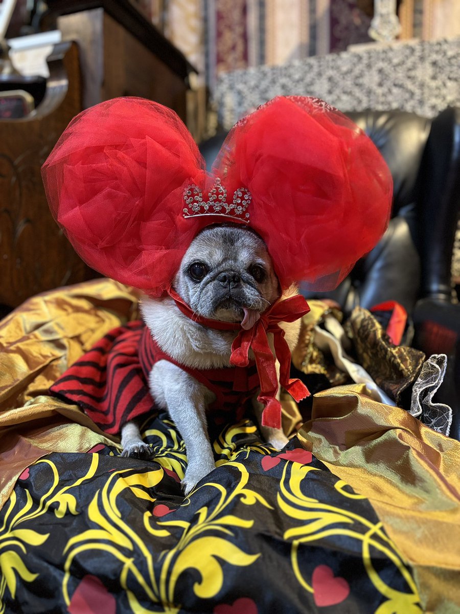 大ちゃん　パグちゃん柄 パグスタイルヨウイチ on X