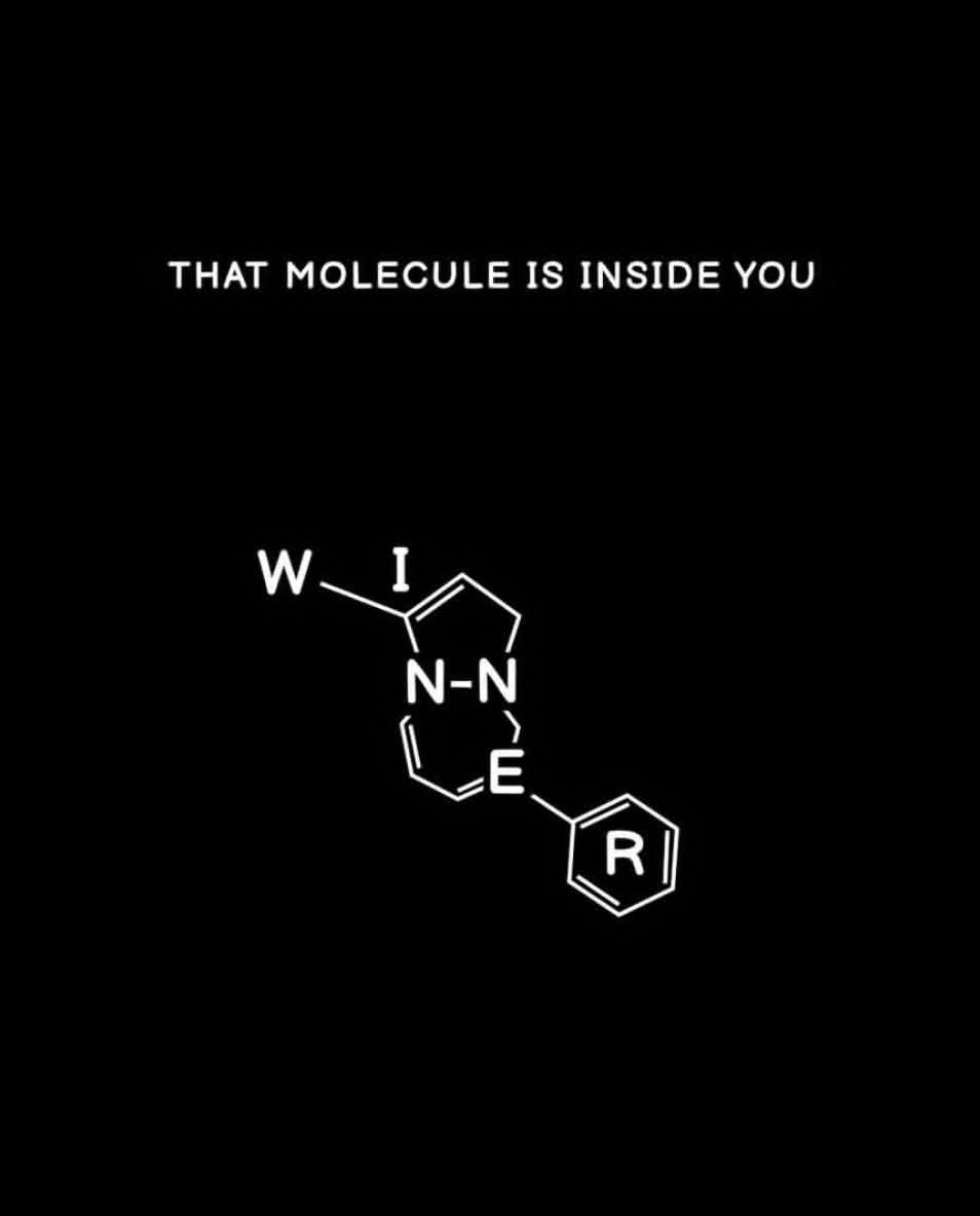 Good morning X family, happy new month of November to all. That winning molecule is inside you. Never give up 👊

Blessed Weekend to all 🙏