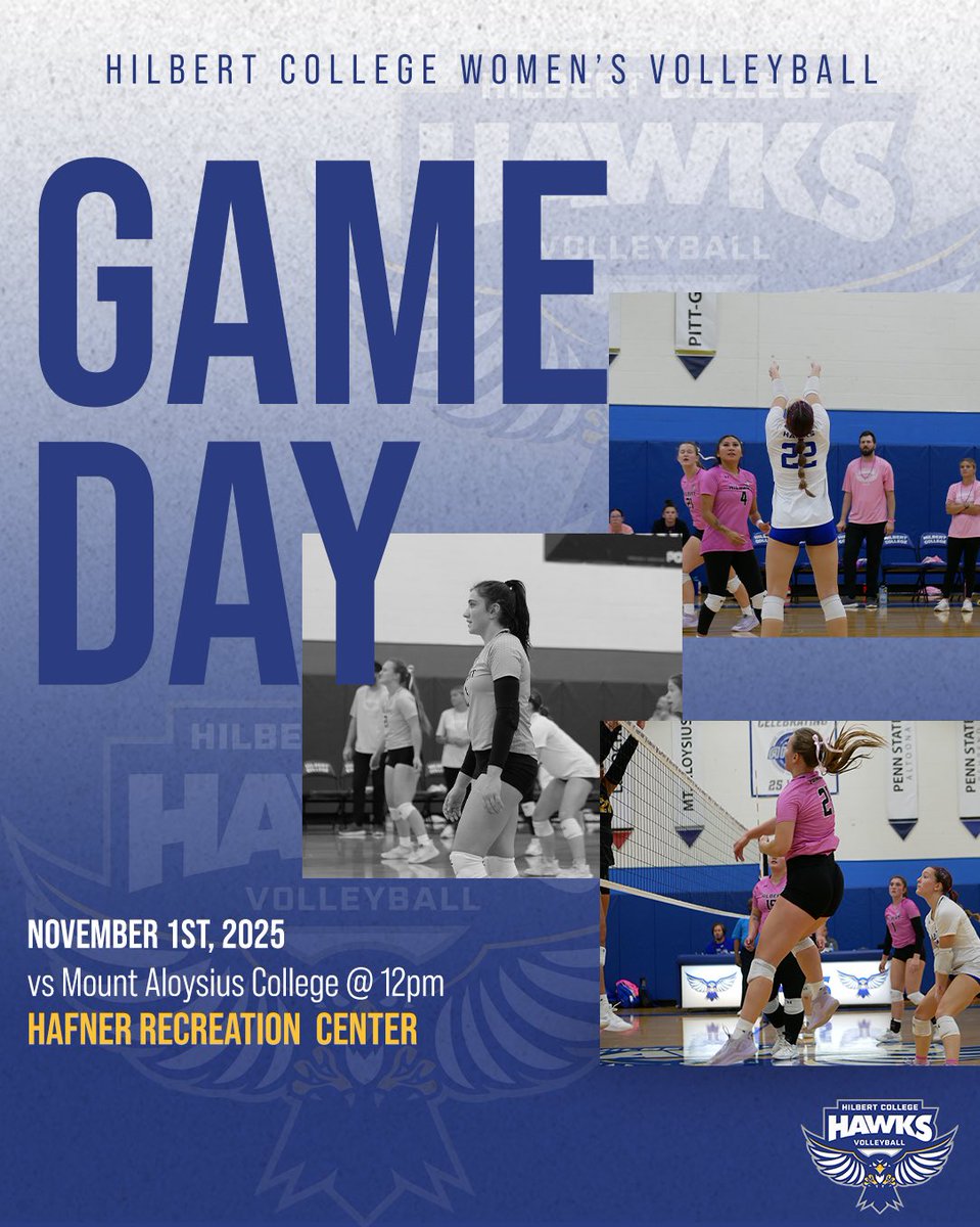 HOME GAME!!! PACK THE NEST!!! Come out and support the Hawks as they take on Mt. Aloysius College!!! 💙🤍💛🩶🖤 #hawkyeah #rollbirds #gobirds #volleyball #womensvolleyball #ncaa #ncaavolleyball #ncaavb #ncaawomensvolleyball #ncaad3 #ncaadivision3 #ncaadivisioniii
