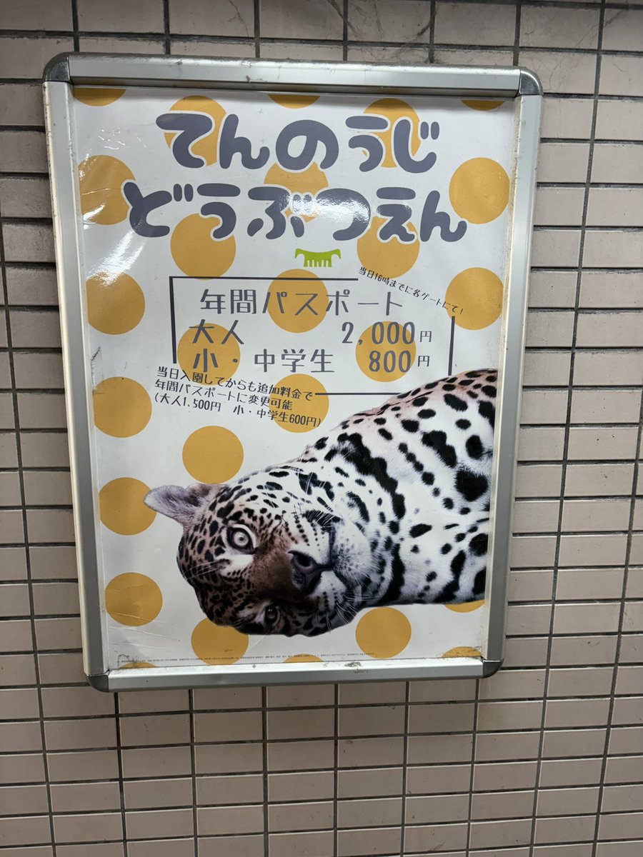 耀綺様 リクエスト 7点 おまとめ商品⭐ KING OF PRISM -Your Endless Call- み〜んなきらめけ！プリズム