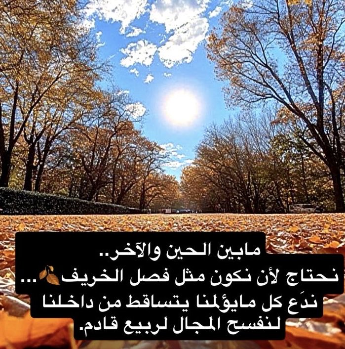 م / يوسف المقهوي (@moghwi20301) on Twitter photo 