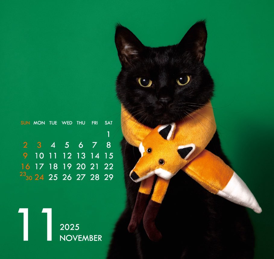 木野聡子 | Akiko Kino (@a_kinokino) / Highlights / X