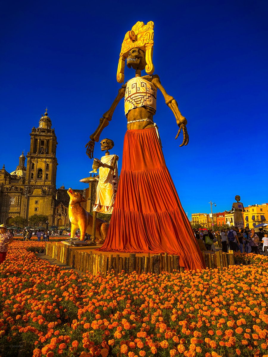 jahirdan's tweet photo. Calaveras y Cempasúchil 🧡 #CDMX #Mexico https://t.co/he80twvVuO