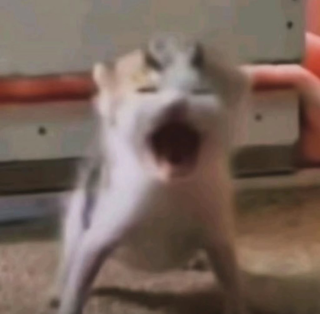 Ela 🌱 tweet media