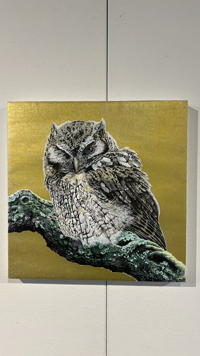 isonocaviar's tweet photo. デザフェス62、出展します！！

出展名:ZOO
出展日:15.16日両日
ブースNo.C-208.209

ボールペン画の原画の展示とグッズの販売を致します！
#デザフェス62
#デザフェス62リポスト
@designfesta https://t.co/qY10260OQV