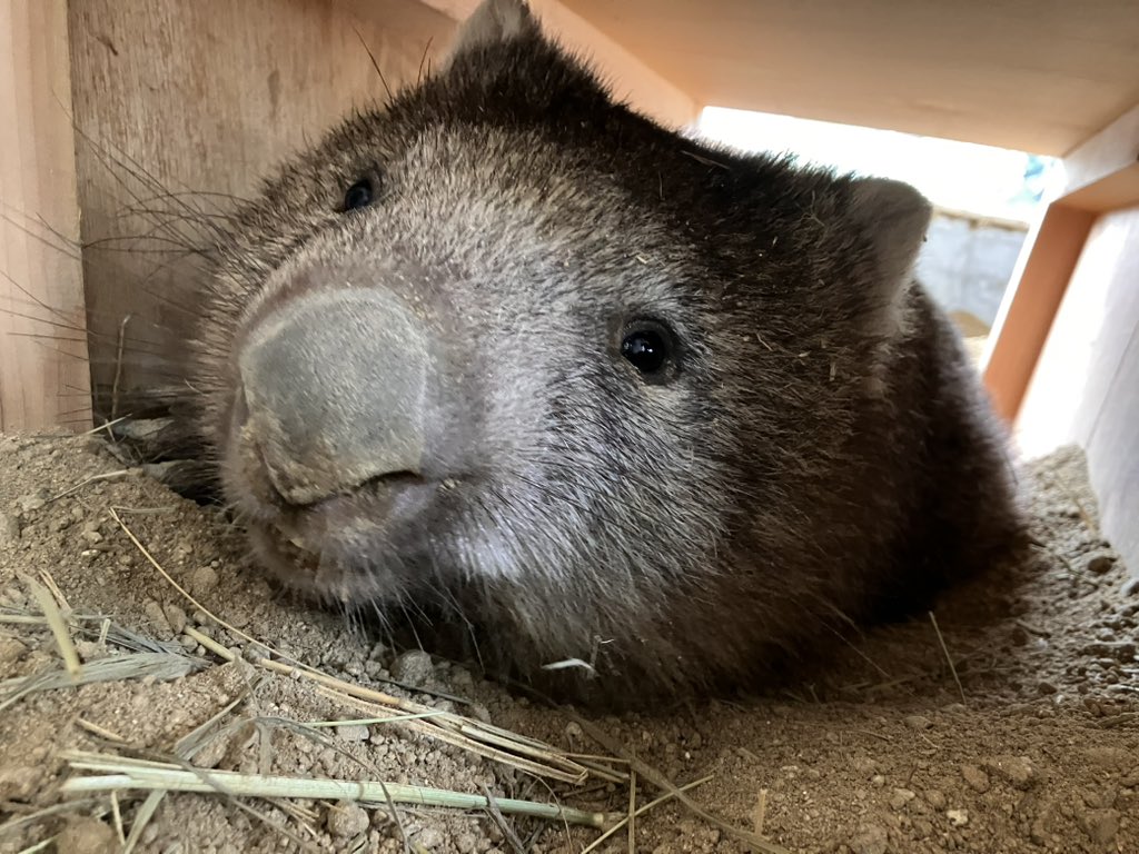 G4pFhupbQAgVmvA.jpg?format=jpg