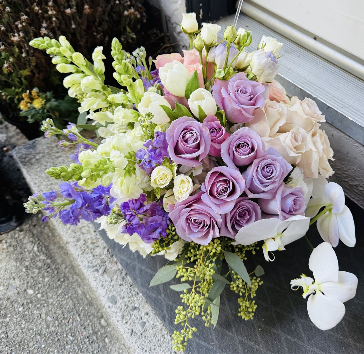 Susan4notebook's tweet image. Thank you.