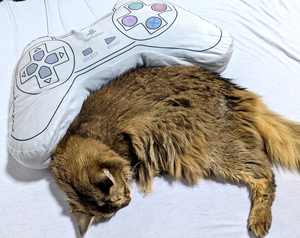 FXタソ⭐️ページです♥️ zx (@zx) / Posts / X