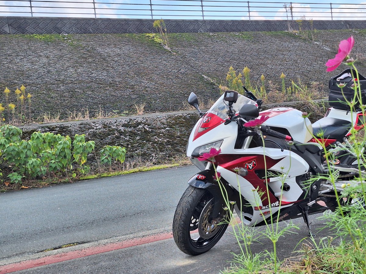 kijiyasan様✾ まっきぃー on X