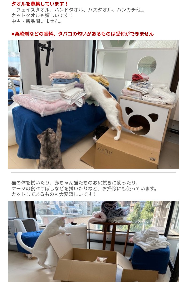 もうぴょん on X