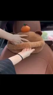 beeturtles's tweet photo. Check out my video on Shopee Video! https://t.co/q3aAhDDsNg https://t.co/ZvHIkJ6FSt
