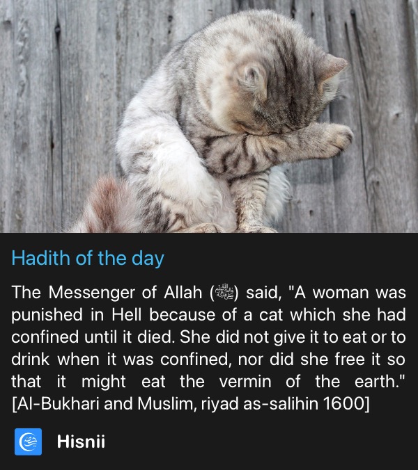 Hadith.