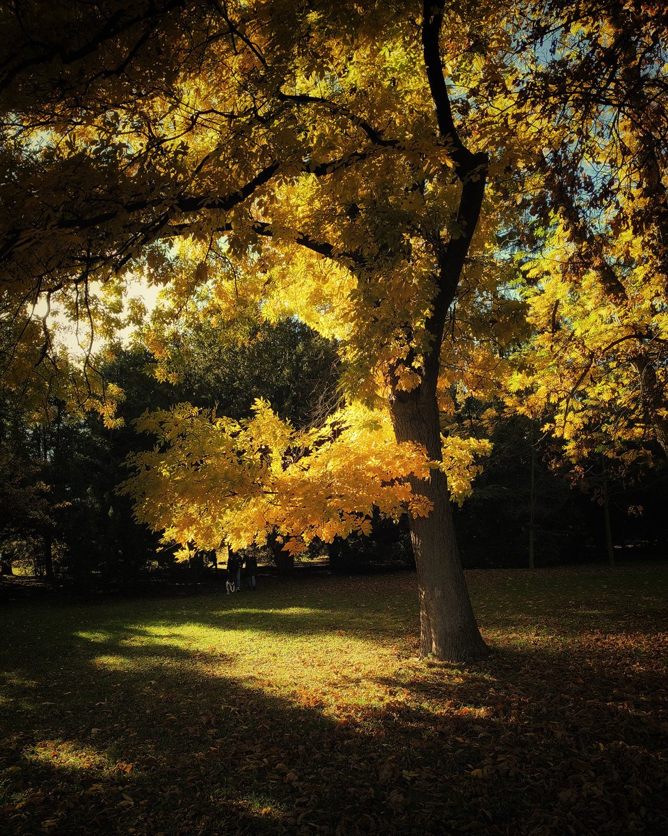 Marek Czartoryski (@markchortsnotes) on Twitter photo 