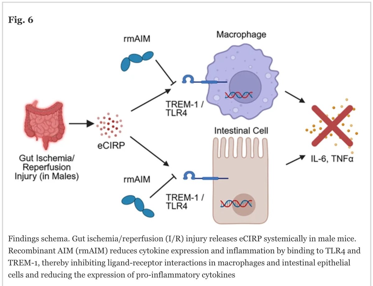 Alok Jha tweet media