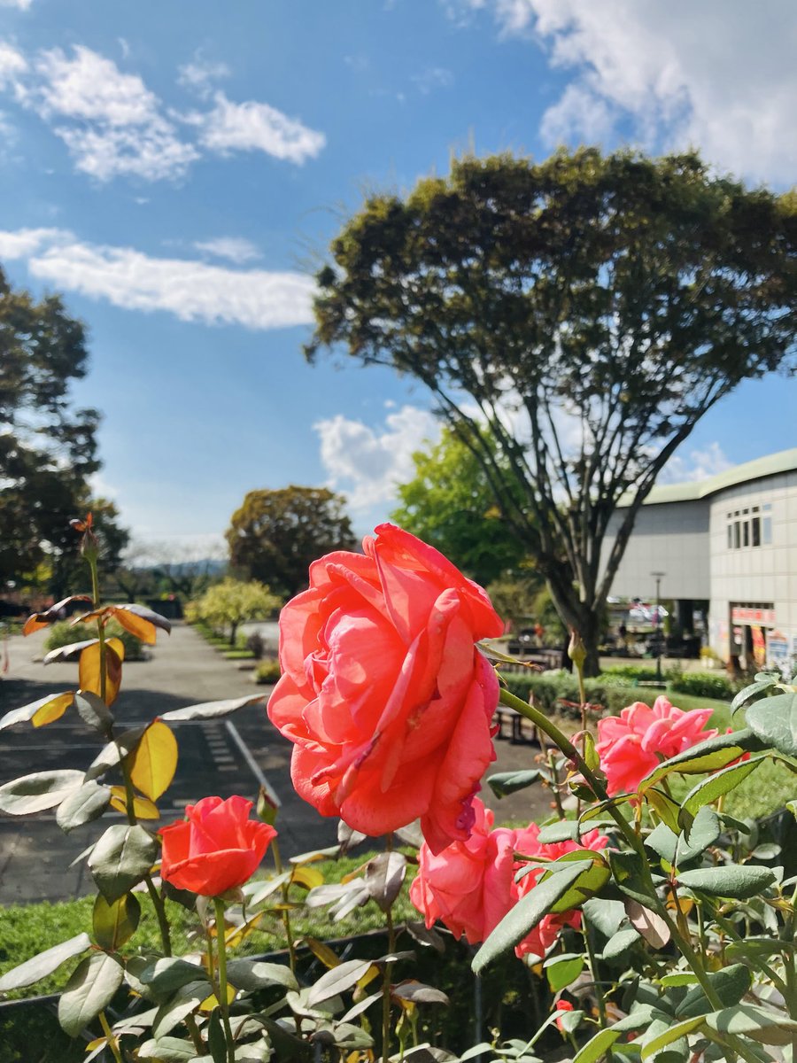 窓「心の旅」 鉄路旅人 on X