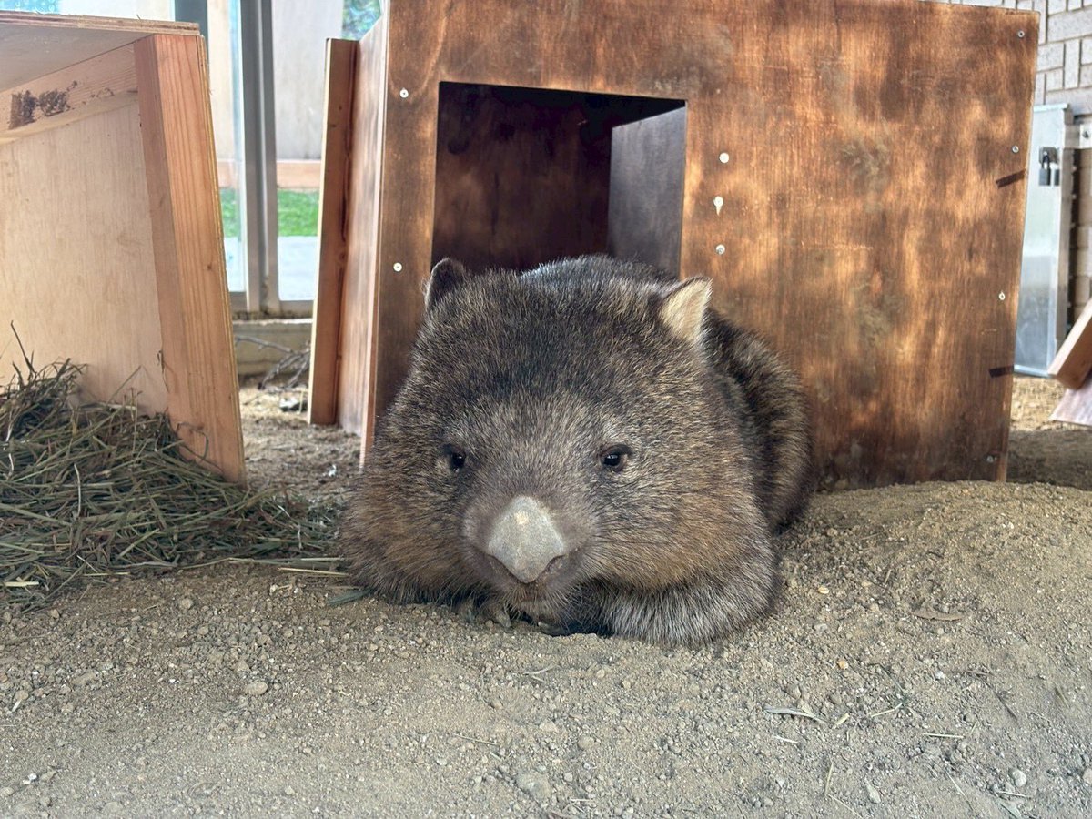 G4pGubTbQAAJqa6.jpg?format=jpg