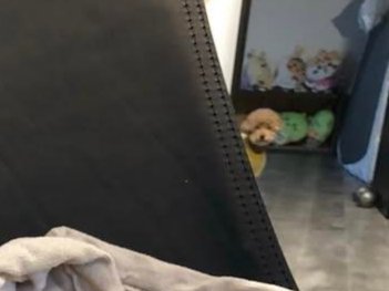 真は錆猫が好き サビ猫三姉妹 (@matsugorookoku) / Posts / X