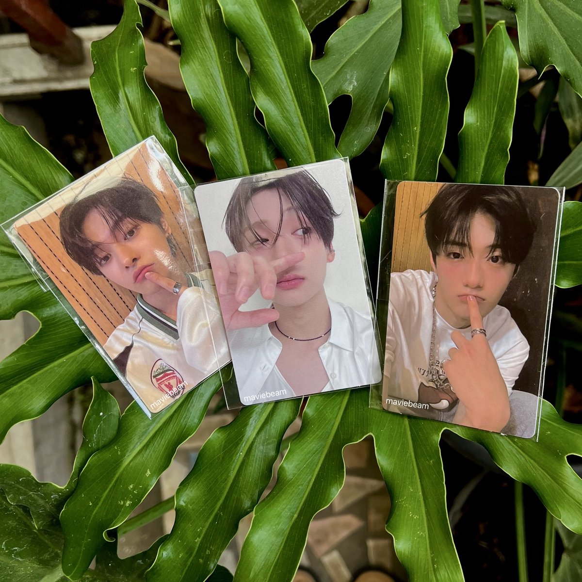 maviebeam's tweet image. ──★ 31.10.25 mails !! ˙🧷 ̟𓂃⋆.˚

10% anakku finally on hand🧸🤍

shoutout to @sunmilgo for helping me hunt these cutie pies🫶🏻 #A1GOtesti