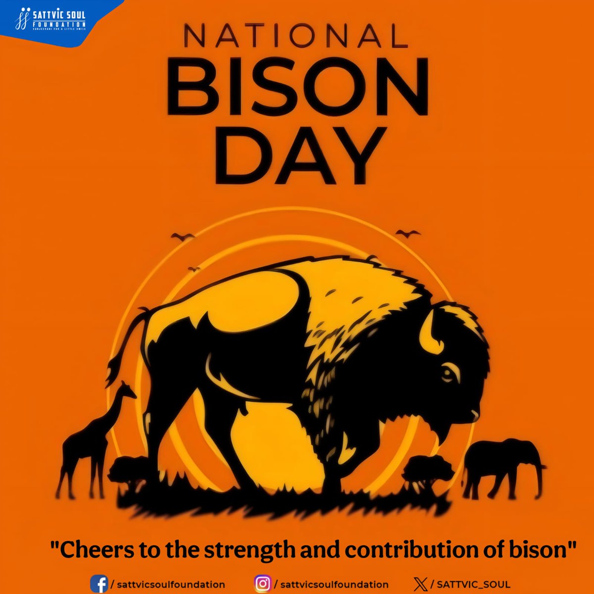 On National Bison Day, we celebrate this majestic symbol of strength and resilience. The bison represents our rich American heritage and is one of the greatest conservation success stories of all time. 🦬