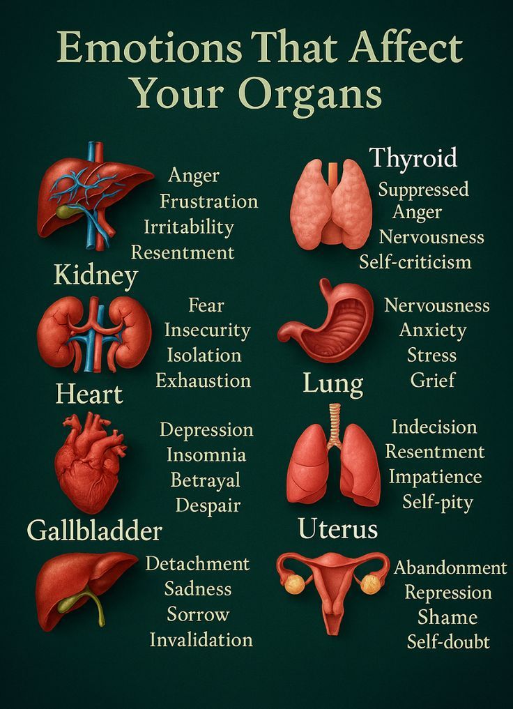 andrewjohnpub1's tweet image. Negative emotions such as stress and anxiety can impact organs like the heart, liver, and stomach 🤯. These feelings can lead to physical symptoms like high blood pressure and digestive issues. #Emotions #OrganHealth #MindBodyConnection