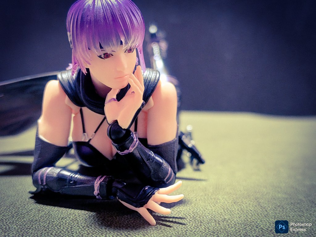 Ataka様おまとめセット アオシマ online shop on X