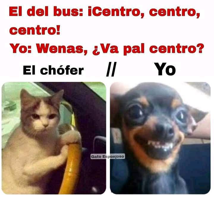 🤣😅😂 jajajaja si son no lo nieguen 🤣😅😂