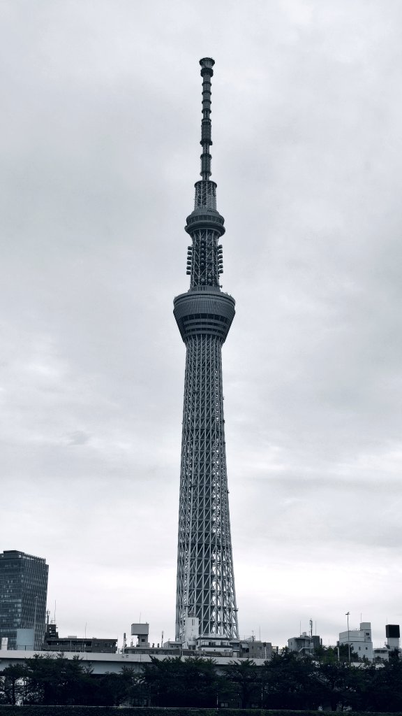 夕星 (@yuzutz) on Twitter photo 