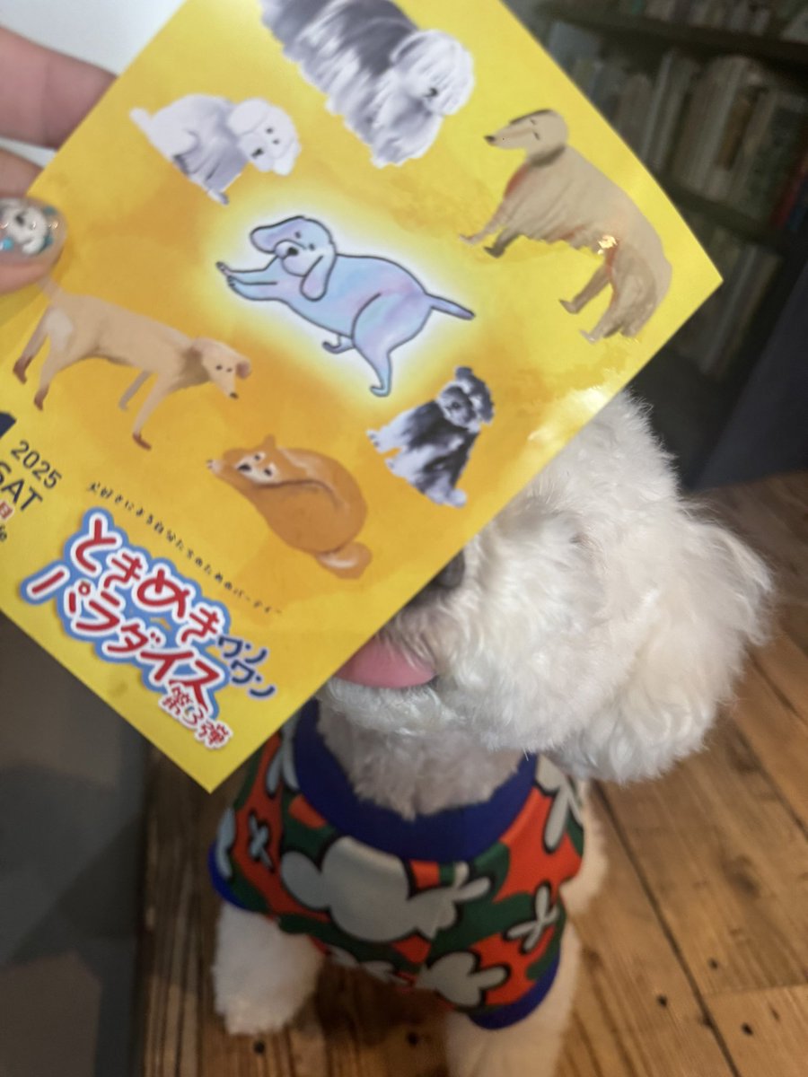 ワンコの写真 can on X