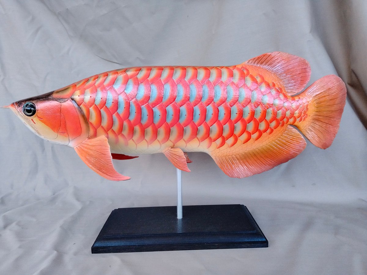 fish craft REAL (@gladiator12827) / Posts / X