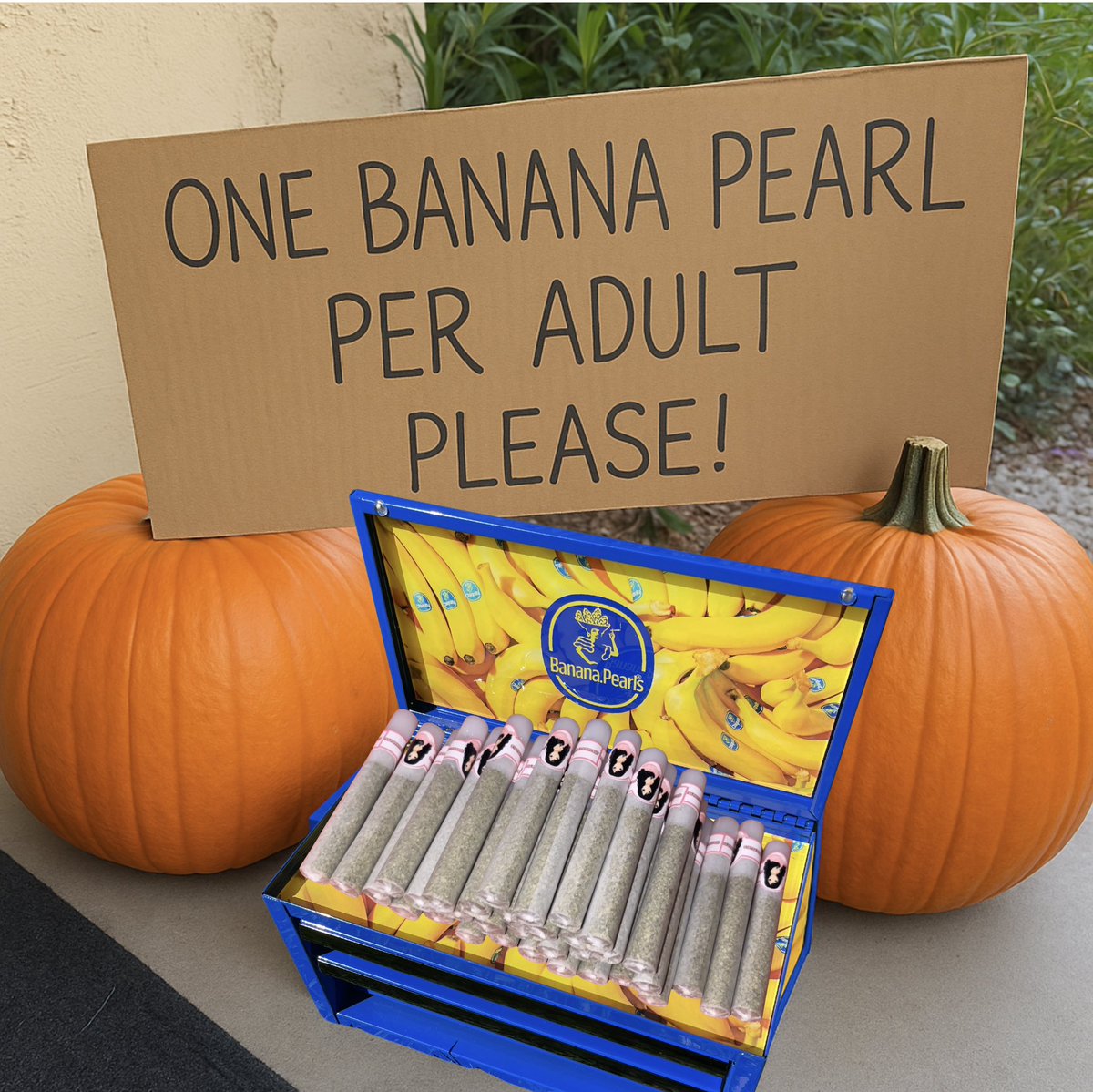 Banana Pearls tweet media