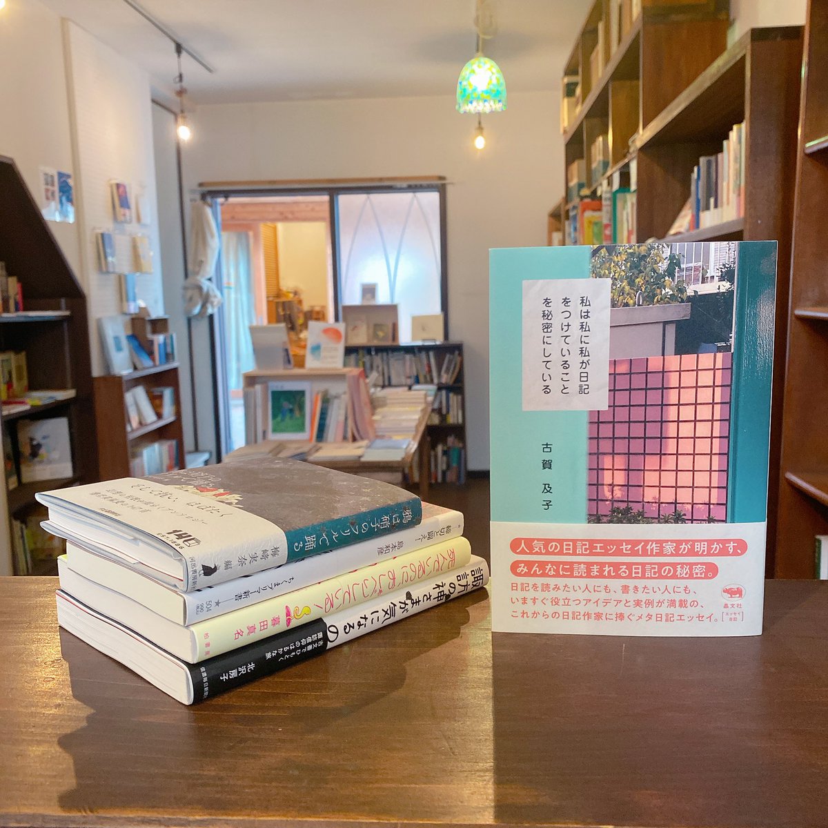 【画賛掛け軸】かえるのうたた寝画「莫妄想」 画賛掛け軸】かえるのうたた寝画「莫妄想」