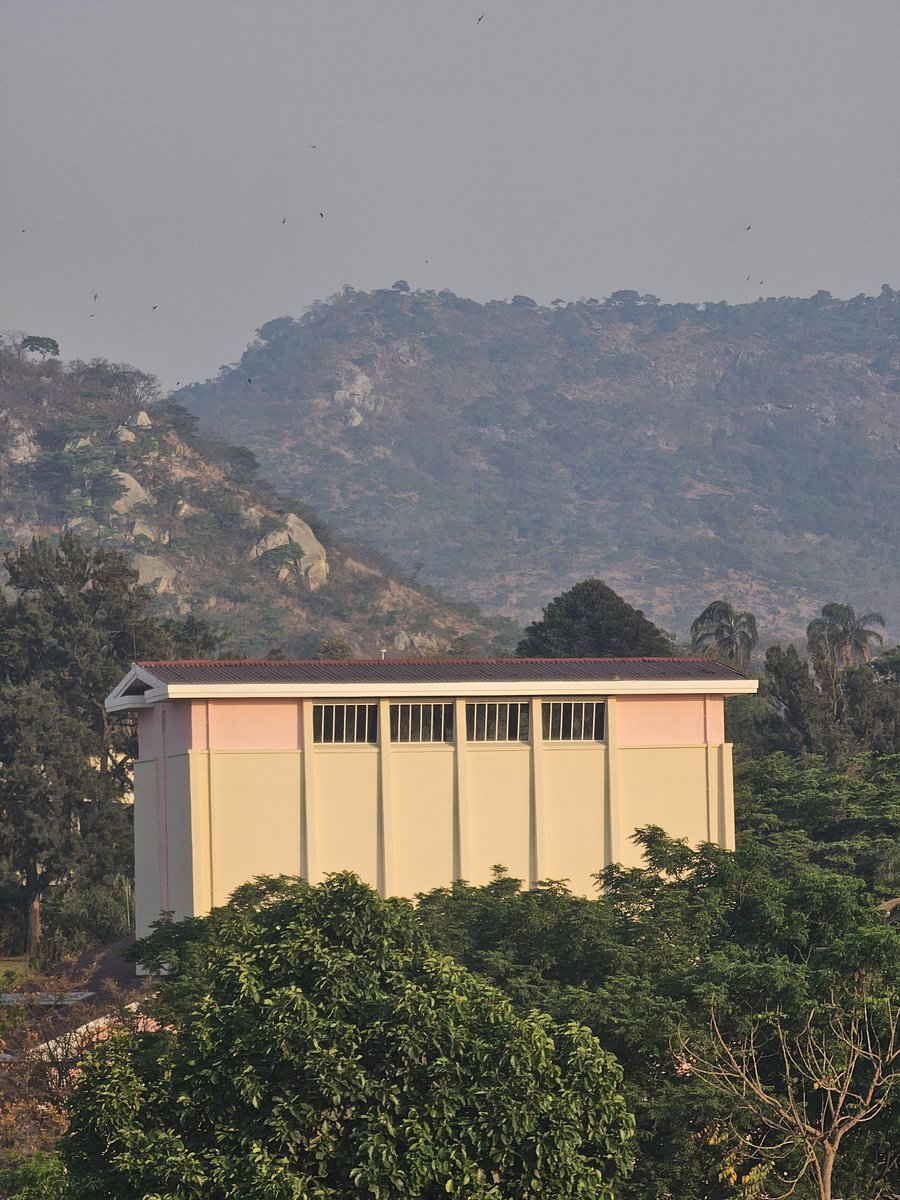 Tini Tini 🇿🇼 tweet media