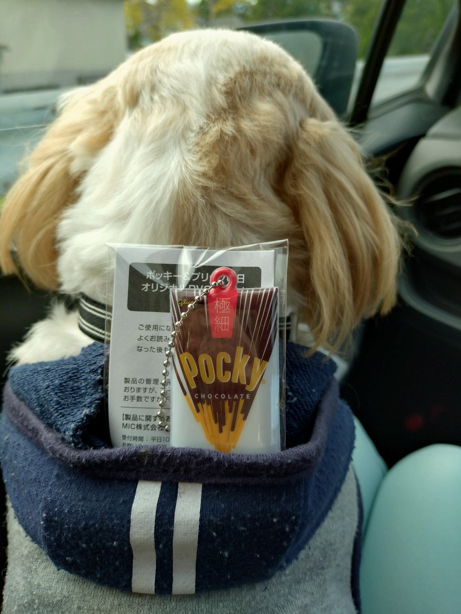 のんたんさま Amazon.co.jp: タカラトミー トミカ ドリームトミカ No.159