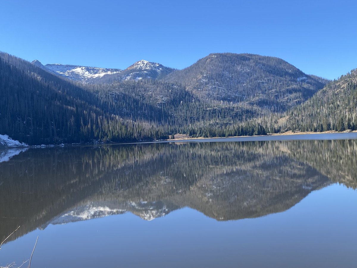 Micki Trost tweet media