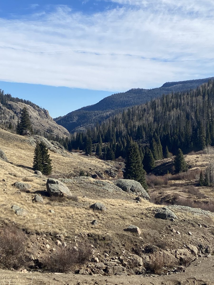 Micki Trost tweet media