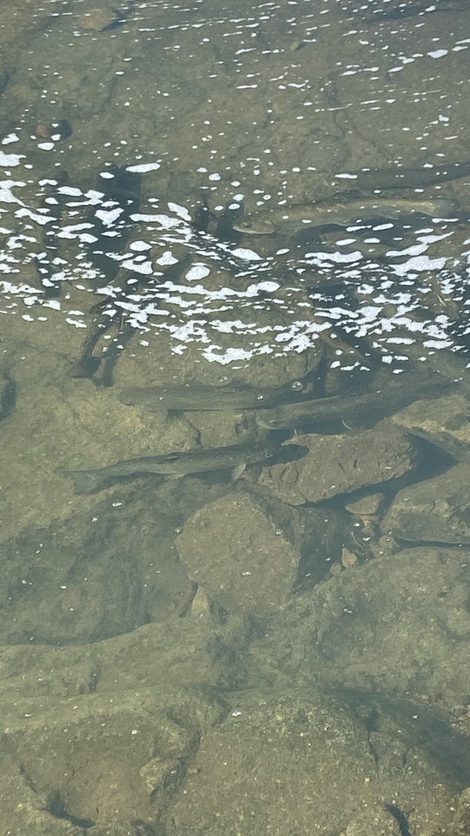 Micki Trost tweet media