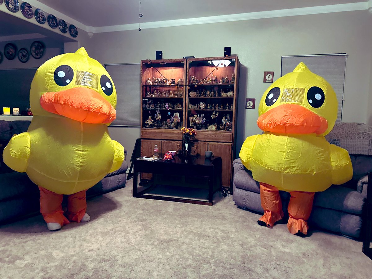 Dominic Ruano tweet media