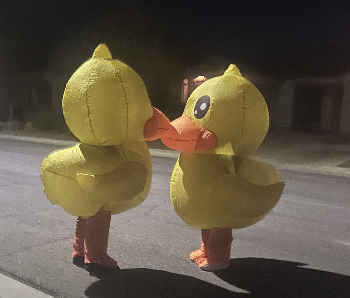 Dominic Ruano tweet media