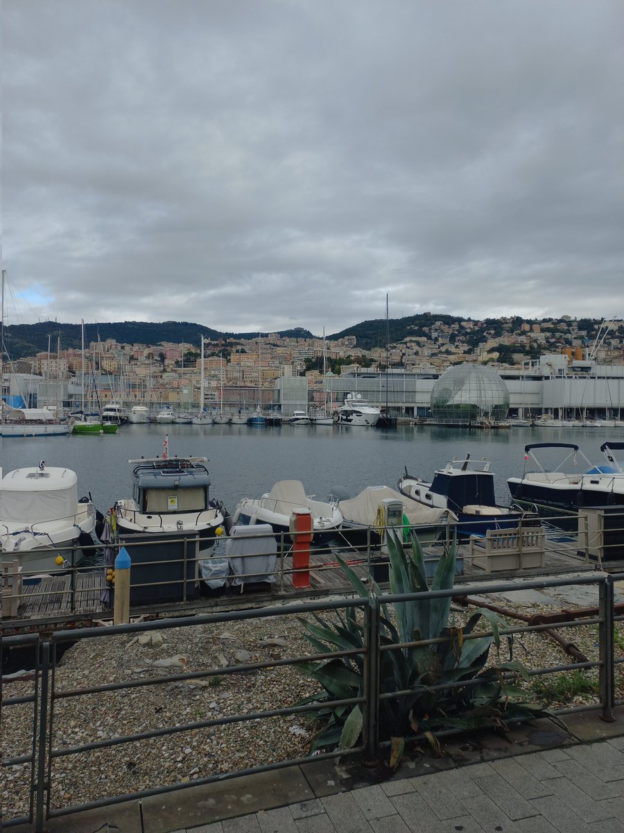 La_Lessia's tweet photo. Today i walked 8 km and eat some chocolate bread https://t.co/ukzZluwPFh