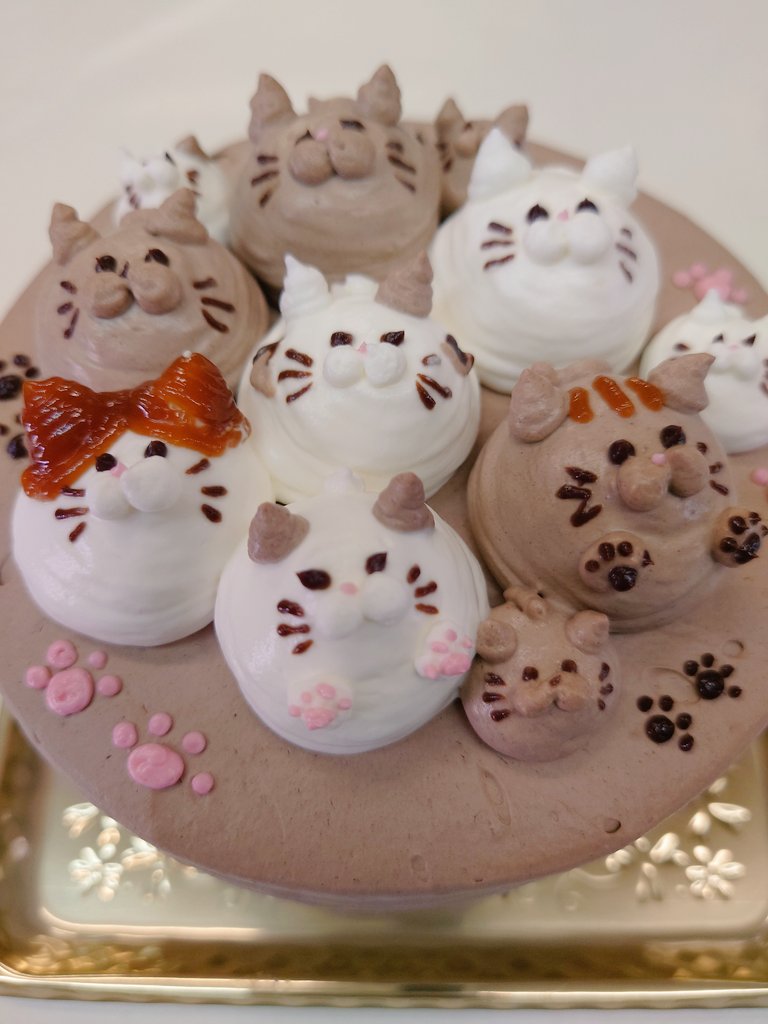 にゃ〜にゃ〜にゃ〜🐾🐾🐾