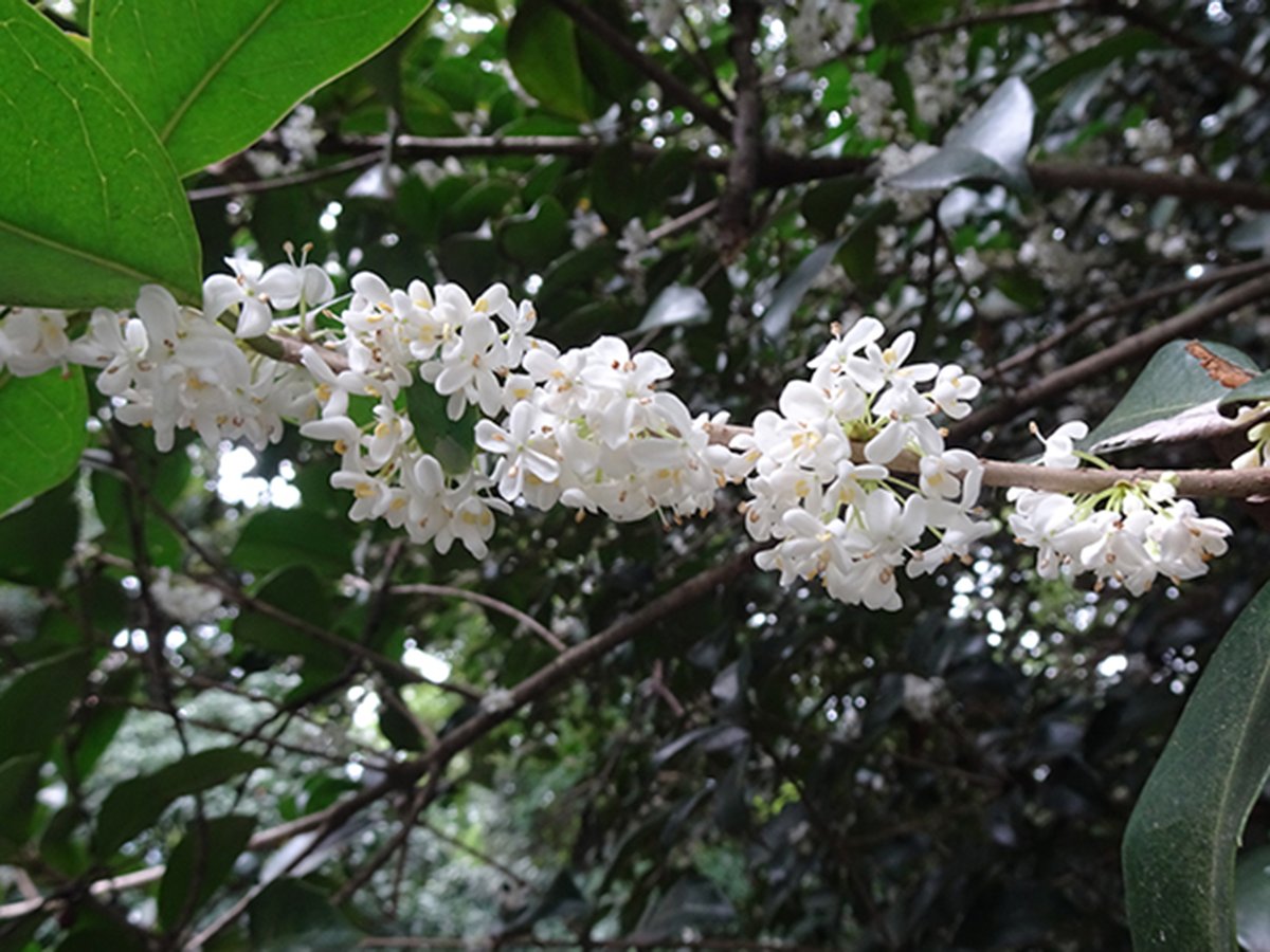 ふぁいんぴーす⭐️🧡 (@38A00sAyDC96207) / Posts / X