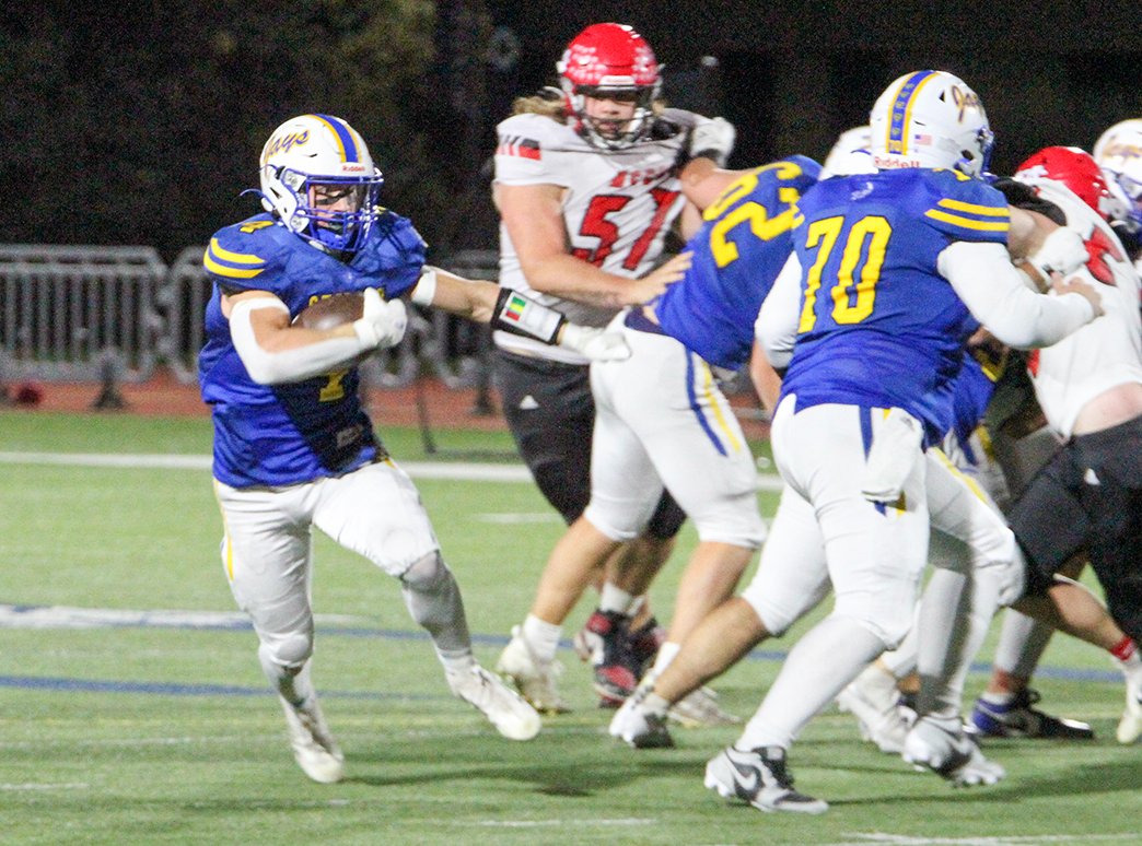 Stephanie Croston tweet media