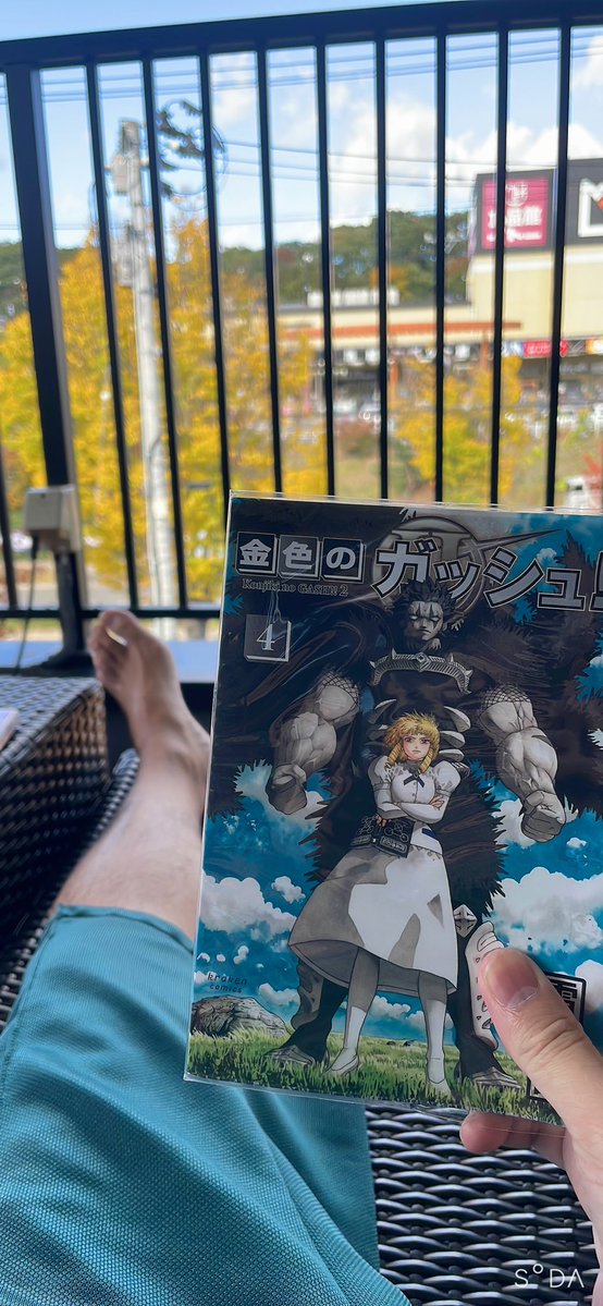 SW2sEyZPkNUGfbx's tweet image. 外気浴しながらマンガタイム✨
癒される♨️