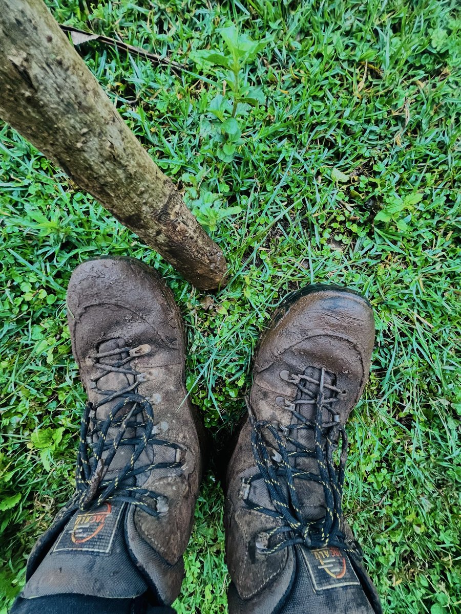 Evans Ogeto🇰🇪 tweet media